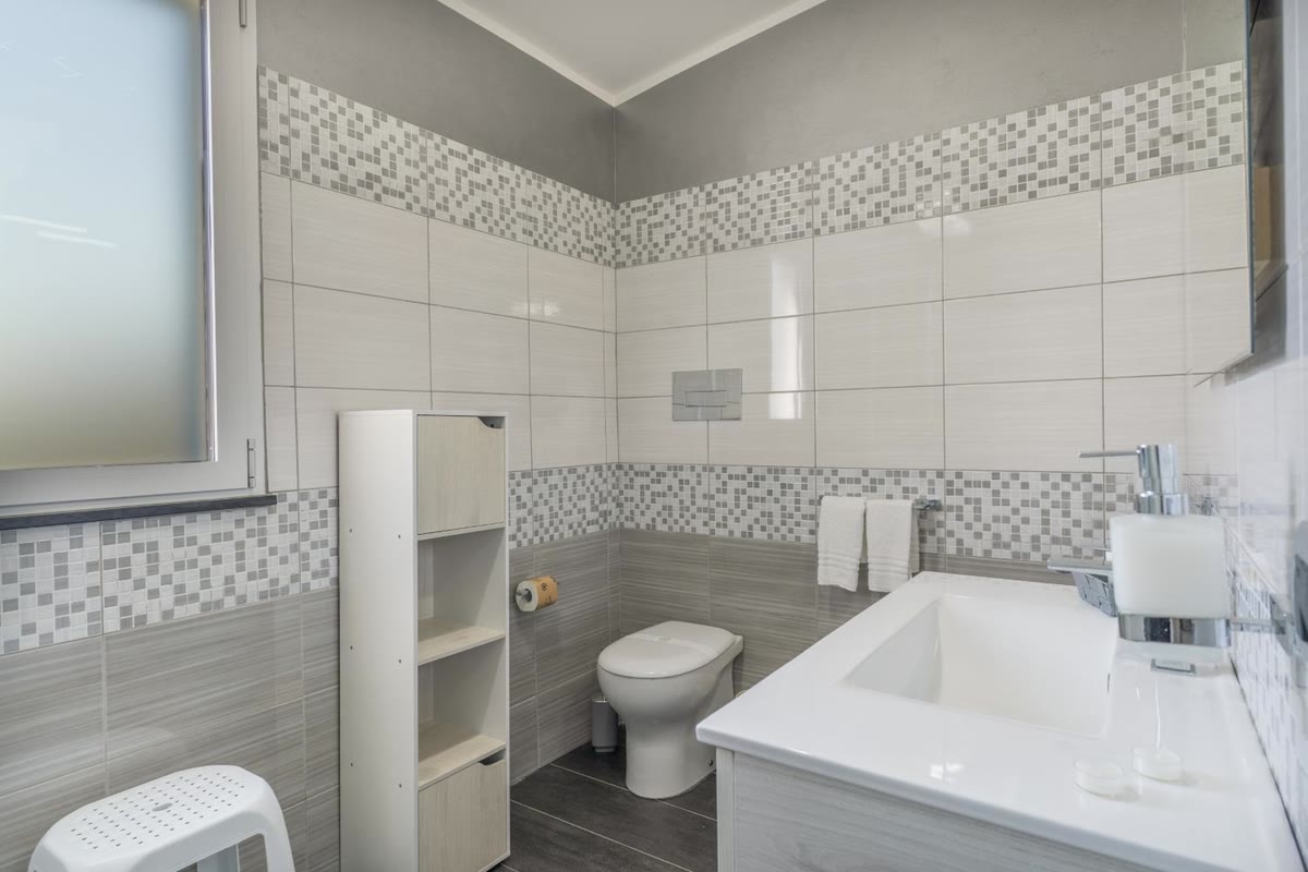 The bathroom with the large washbasin, toilet and open shelving